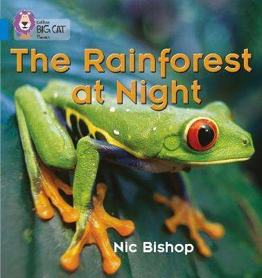 Фото - Big Cat Phonics 4 The Rainforest at Night.