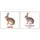Мини-20: Дикие животные Les animaux sauvages (рус-франц) - 1