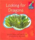 CSB 1 Looking for Dragons - 1