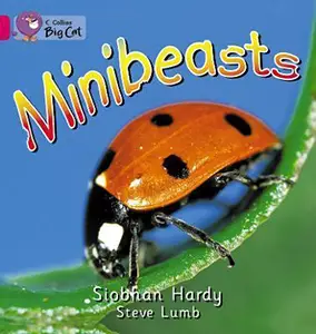 Big Cat 1A Minibeasts. Workbook