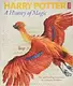Harry Potter. A History of Magic [Hardcover] - 1