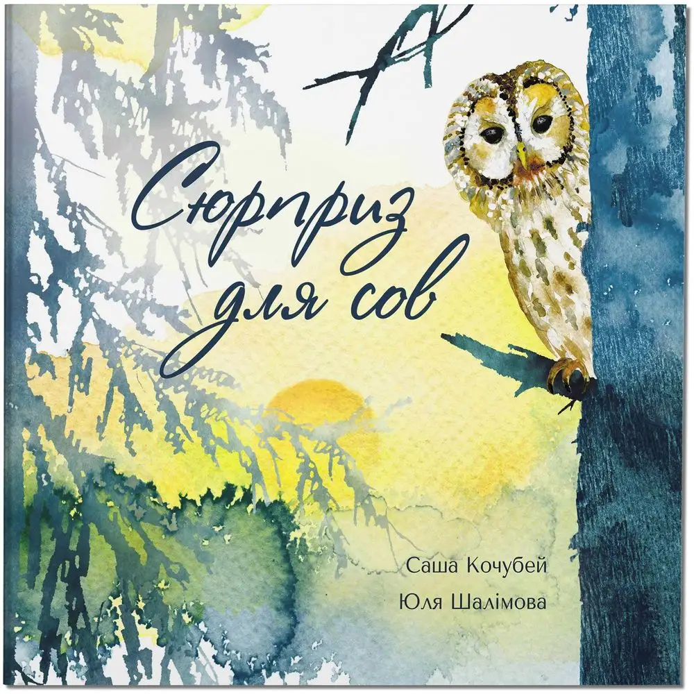 Книга Сюрприз для сов
