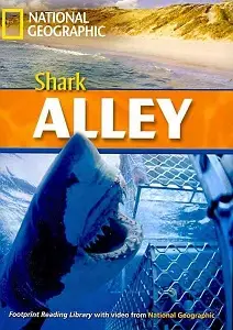 FRL2200 B2 Shark Alley