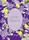 Marjolein Bastin Classics Series: Little Women - 1