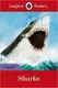 Ladybird Readers 3 Sharks - 1