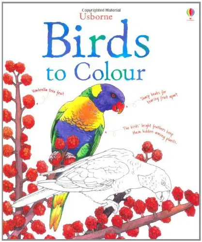Colouring Book: Birds to Colour