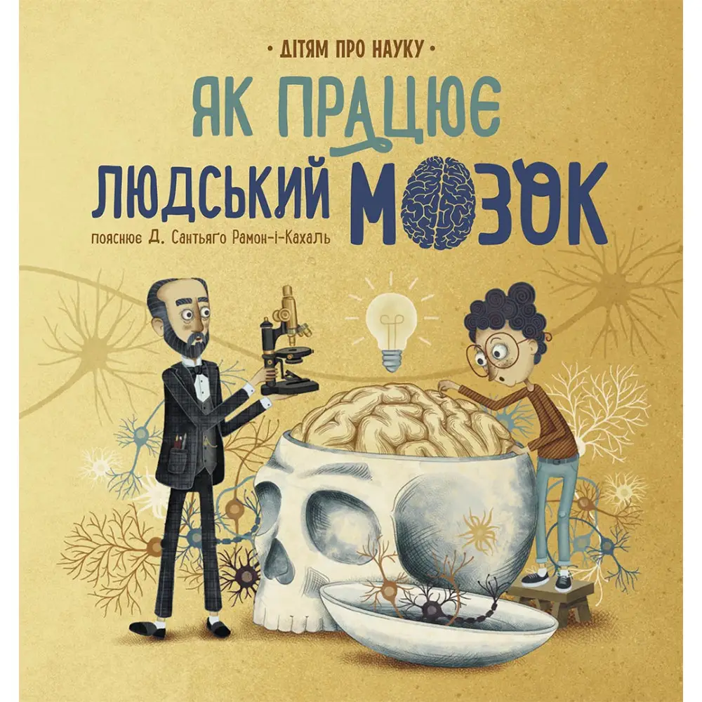 Про науку: Як працює людський мозок