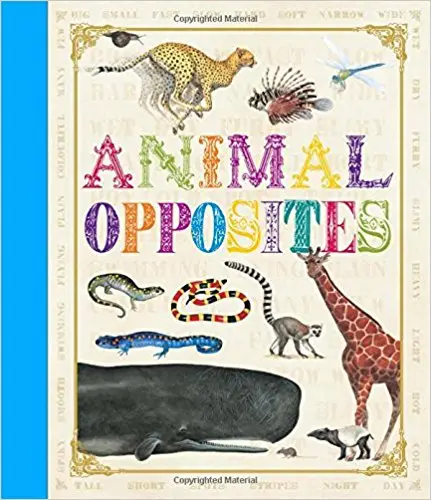First Concept: Animal Opposites