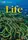 Life  Beginner Interactive Whiteboard DVD-ROM - 1