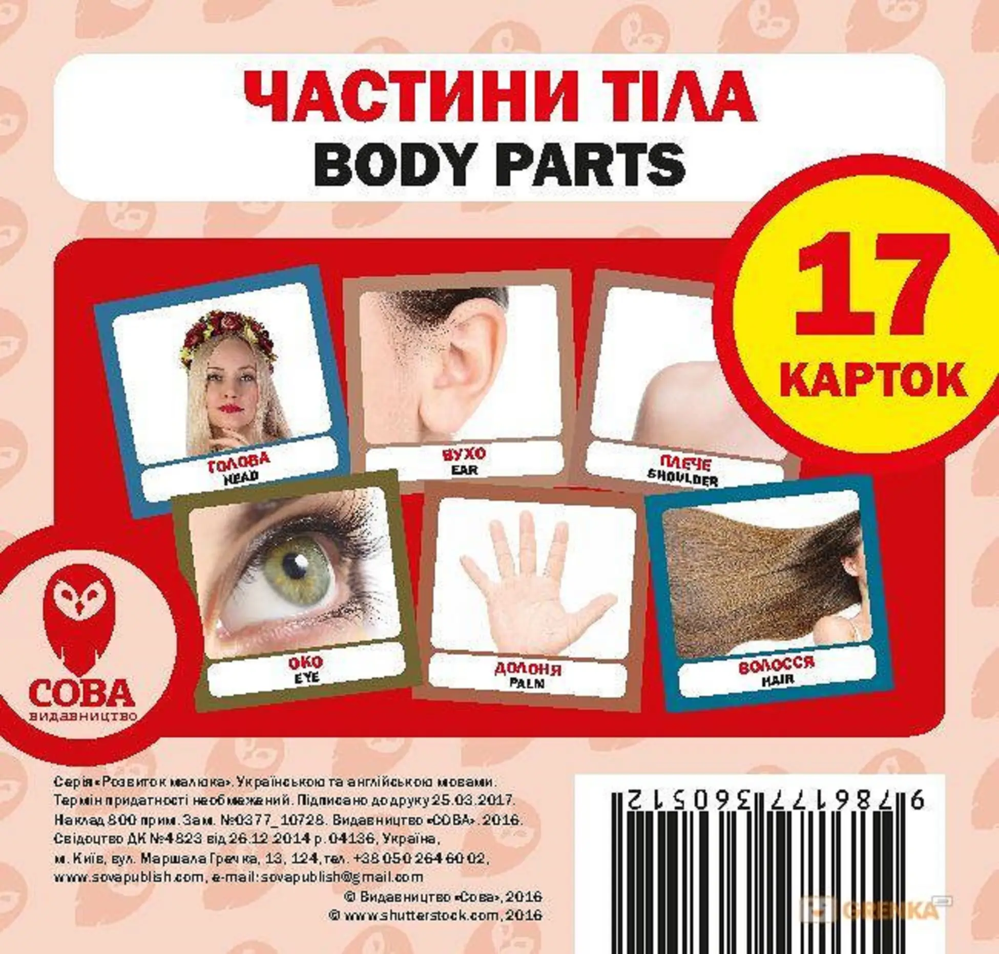 Частини тіла