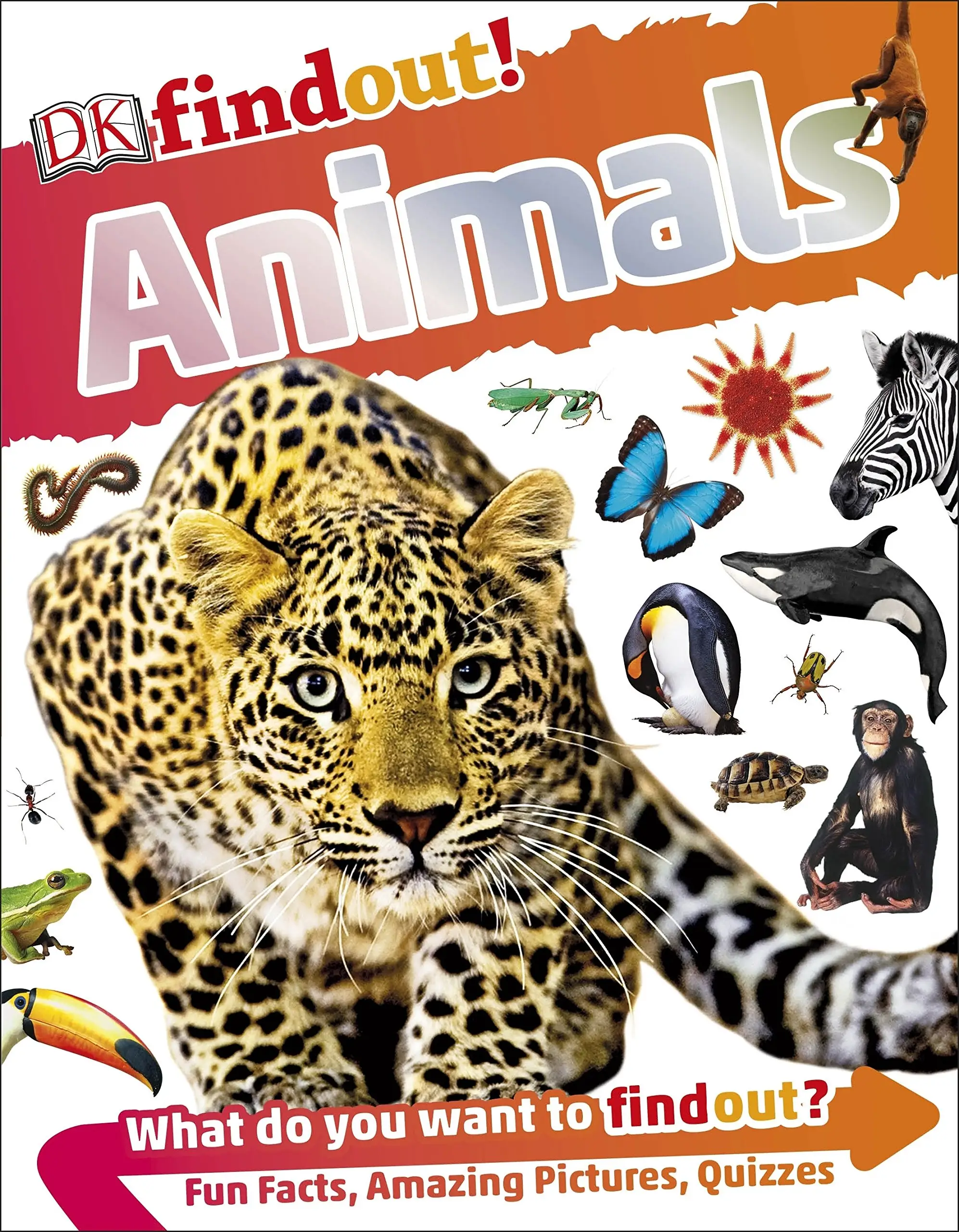 DKfindout!: Animals