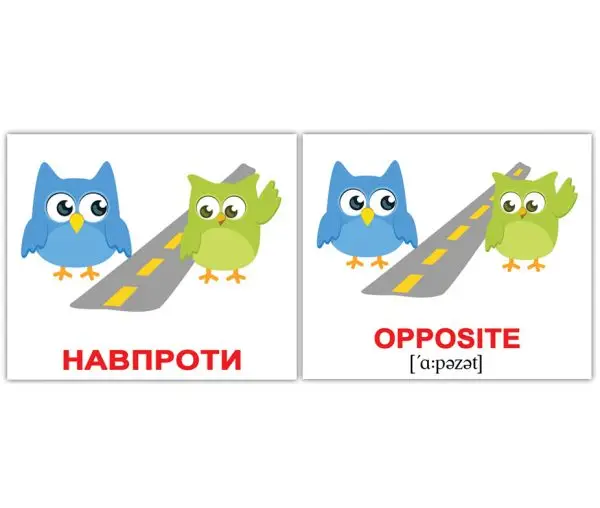 Мини-20: Прийменники/Prepositions