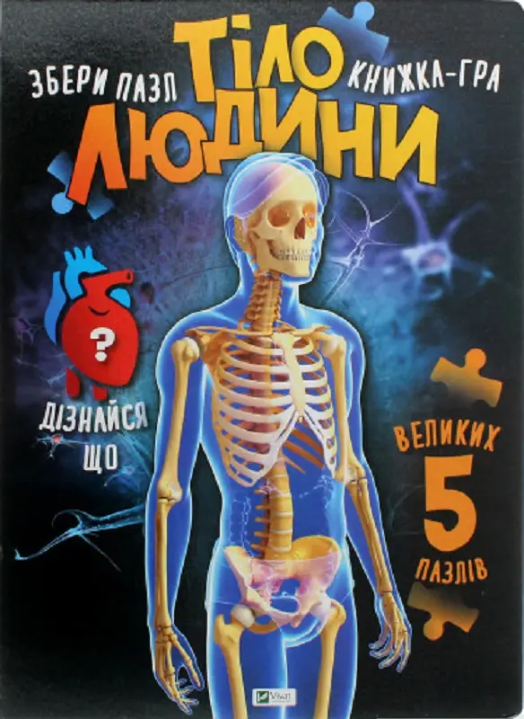 Тіло людини - Kebuk