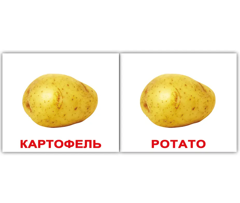 Мини-40: Овощи Vegetables (рус-англ)