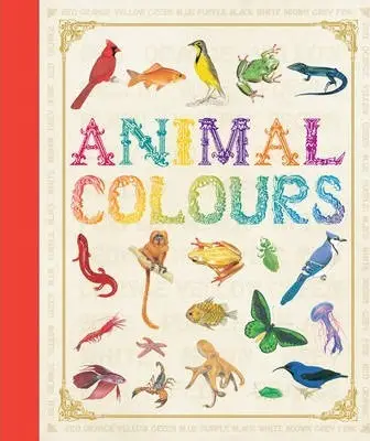 First Concept: Animal Colours