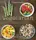 Vegetarian for a New Generation - 1
