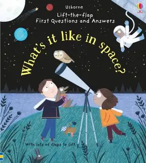 Lift-the-Flap First Questions & Answers: What's it...