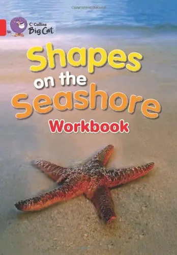Big Cat 2A Shapes on the Seashore. Workbook