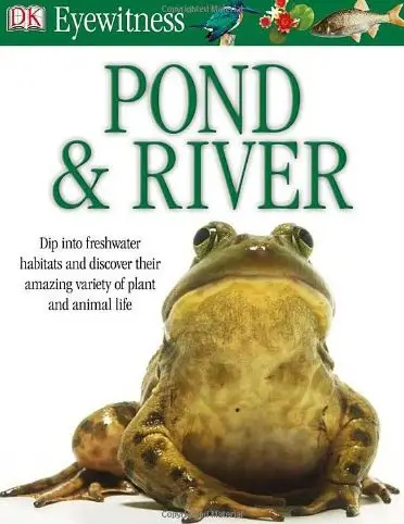 Eyewitness: Pond & River
