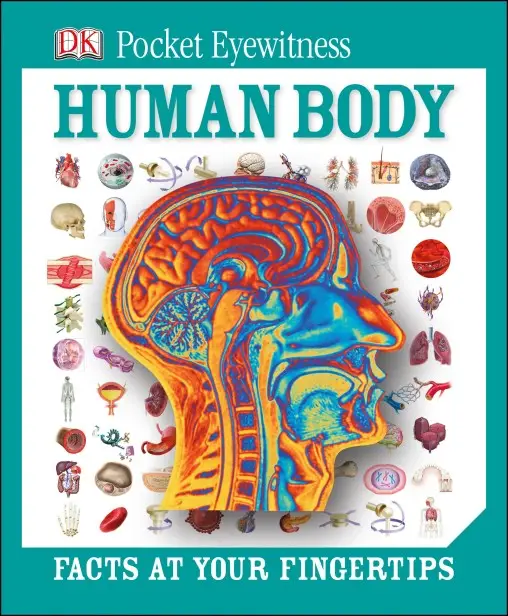 Pocket Eyewitness: Human Body