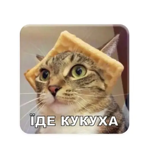 3D-стікер "Їде кукуха"