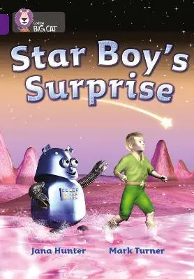 Big Cat 8 Star Boy's Surprise. Workbook