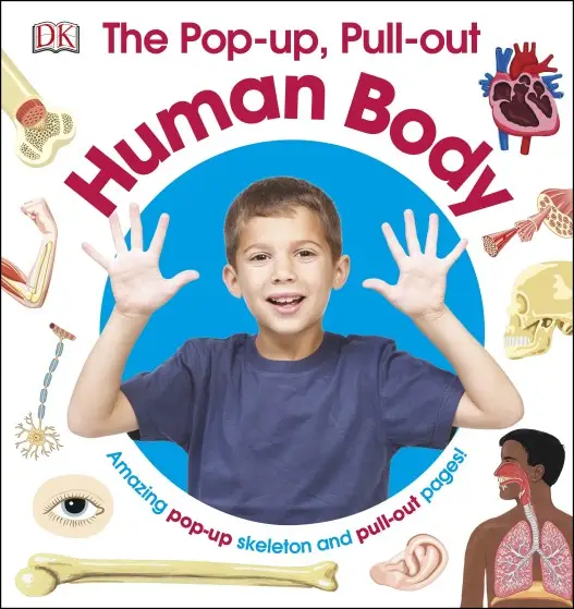 Pop-up, Pull out: Human Body