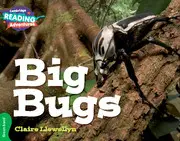 CRA Big Bugs Green Band
