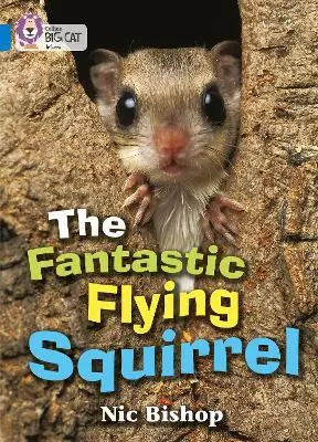 Big Cat 4 The Fantastic Flying Squirrel