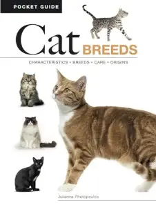 Cat Breeds: Characteristics, Breeds, Care, Origins