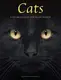 Cats: A Celebration of Our Feline Friends - 1