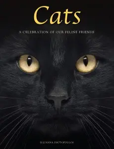 Cats: A Celebration of Our Feline Friends