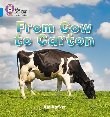 Big Cat Phonics 4 From Cow to Carton