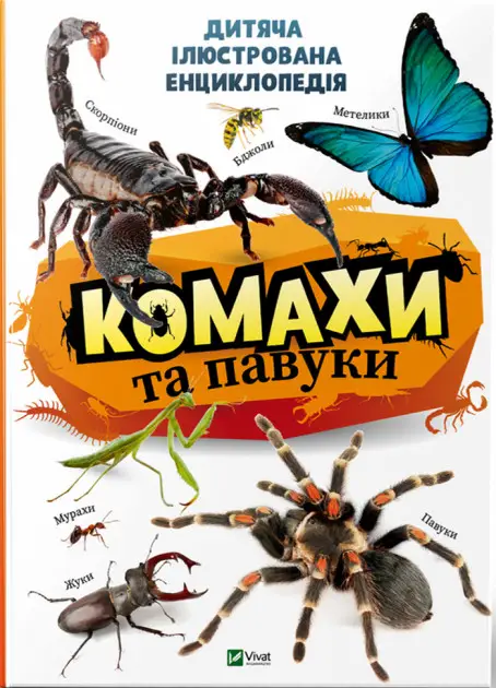 Комахи та павуки