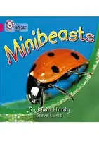 Big Cat  1A Minibeasts. - 1