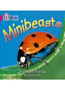 Big Cat 1A Minibeasts