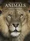 Encyclopedia of Animals - 1