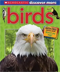 Discover More: Birds