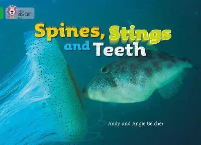 Big Cat 5 Spines, Stings and Teeth