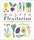 Modern Flexitarian: Veg-based Recipes you can Flex to add Fish, Meat, or Dairy - 1