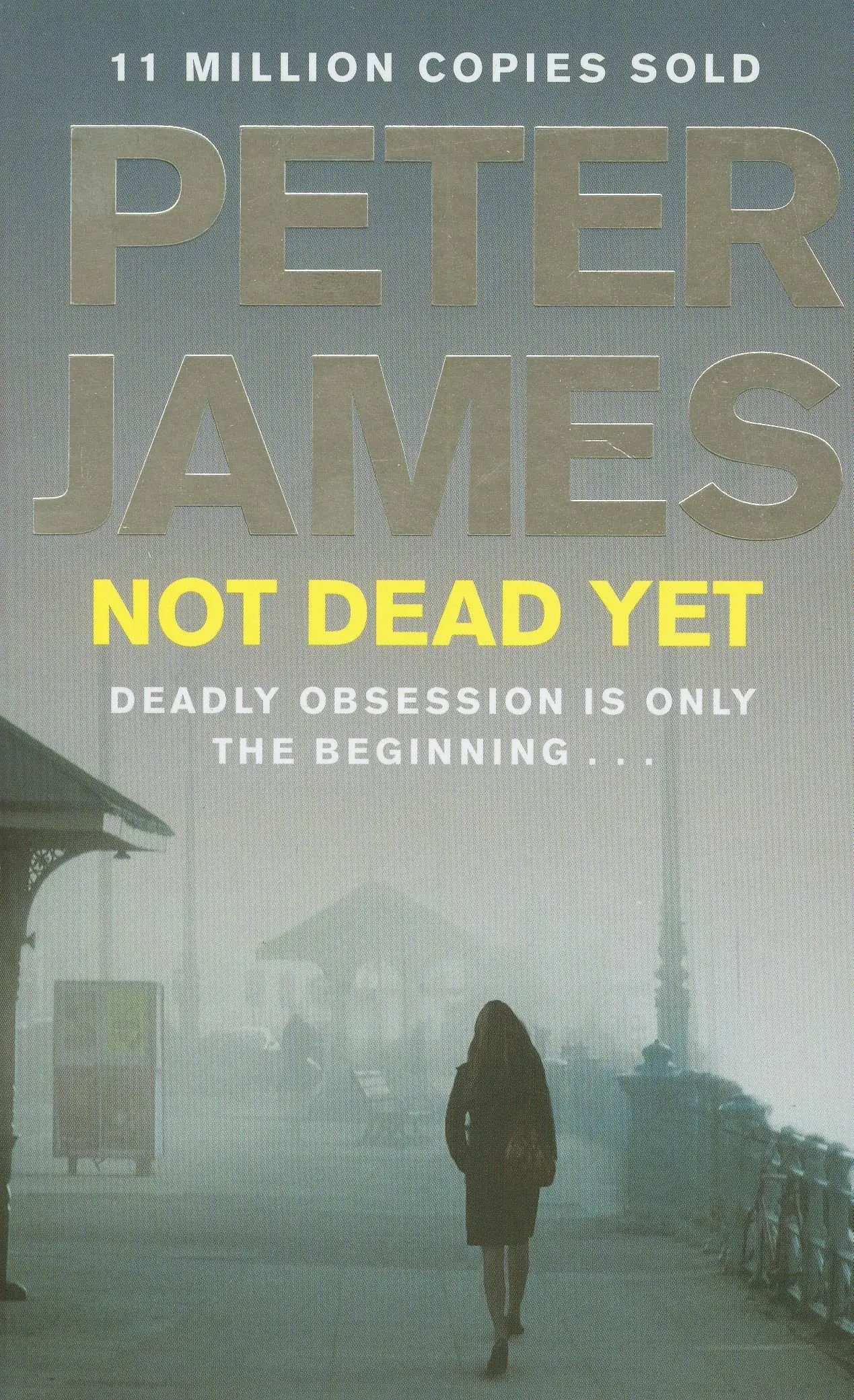 Roy Grace Book8: Not Dead Yet