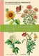 Eco Writer's Notebook: Jardin Botanique - 1