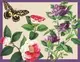 Desk Set: Winterthur Butterflies - 1