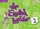 English Ladder Level 2 Story Cards (Pack of 69) - 1