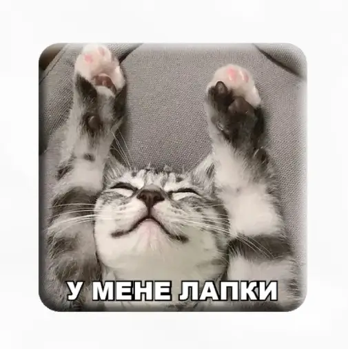 3D стікер "У мене лапки"