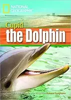 FRL1600 B1 Cupid the Dolphin - 1