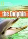 FRL1600 B1 Cupid the Dolphin - 1