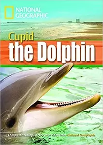 FRL1600 B1 Cupid the Dolphin