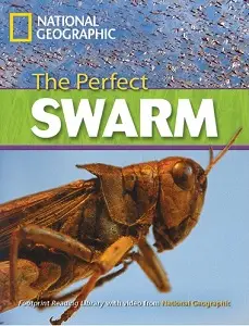 FRL3000 C1 Perfect Swarm,The