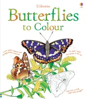 Colouring Book: Butterflies to Colour - 1